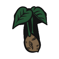 Alohabets Sticker by Coconut Girl Hawaii Shop