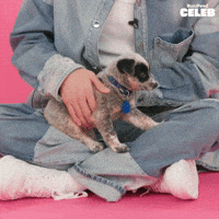 Cozy Puppy