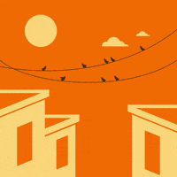 cezariliescu7 cat character birds motiongraphics GIF