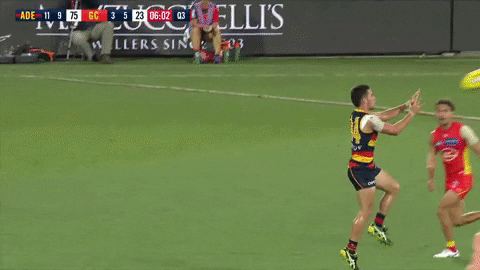 adelaidecrows giphyupload 2019 afl adelaide crows GIF