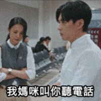 Tiger Mirror GIF by ViuTV