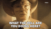 Duster GIF by HBO Max