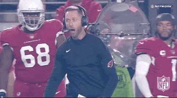 Arizona Cardinals Football GIF by NFL