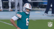Miami Dolphins Football GIF by NFL