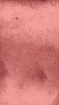 studiocouleurcafe fashion hair color studio GIF