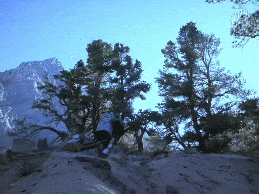 Star Trek GIF by The Joy of Trek