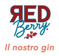 BACCASPIRITS drink gin gingin redberry Sticker