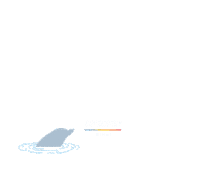 CorcoranReverie beach florida dolphin corcoran Sticker