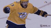 Happy Ice Hockey GIF by NHL