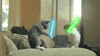Digital compilation gif. Two cats fight with blue and green light sabers on a beige couch cushion in a bright living room setting. 
