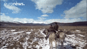 Mongolia Douhka GIF by euronews