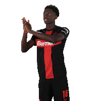 Bayer 04 Applause Sticker by Bayer 04 Leverkusen