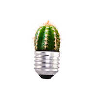 edugraphic nature green argentina idea Sticker
