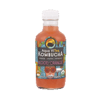 aquavitea yum kombucha booch guthealth Sticker