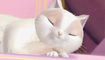 Princess And The Pauper Cat GIF