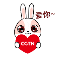 Heart Love Sticker by CGTN V-Studio