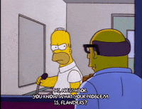 homer simpson GIF