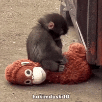 Monkey Punch GIF