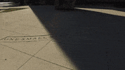 Neil Armstrong Boilermakers GIF by Purdue University