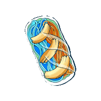 rainbowrolls noodles delicioso guacamole ensalada Sticker