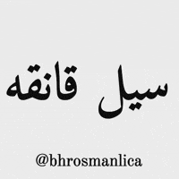 Sil GIF