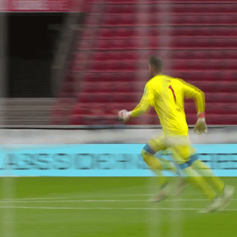1 Fc Cologne Football GIF by 1. FC Köln
