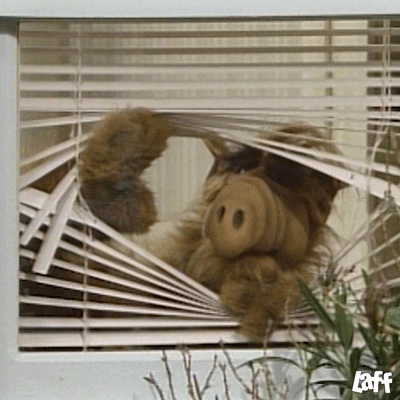 Spying Tv Show GIF by Laff