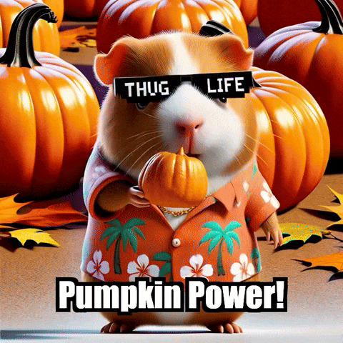 Guinea Pig Autumn GIF by Guinea Gambino