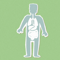 Doktor GIF by aclkonsultan