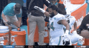 National Football League GIF by NFL