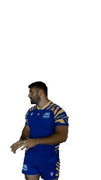 Rugby Italia Sticker by Zebre Parma