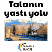 Tala GIF by Zagatala Prints