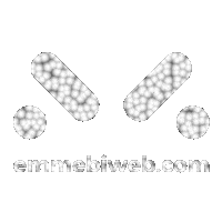 Website Webdesign Sticker by emmebiweb