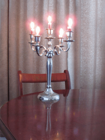 TeaCosyFolk halloween surprise ghost spooky GIF