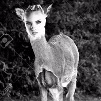 Nwa GIF