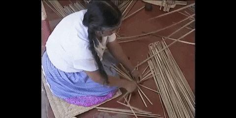 juanantoniosanchezscott giphygifmaker GIF