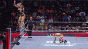 Wwe Omg GIF