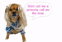 Real Housewives Princess GIF