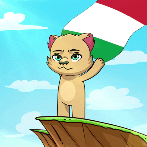 Italian Flag GIF by Kabu