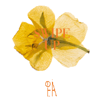 warnermusic_poland wmp ofelia warner music poland zaraz Sticker