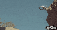 Cult Classic GIF by Turner Classic Movies