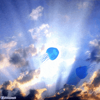 water flying GIF by Psyklon