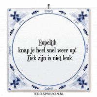 Humor Wijsheid GIF by Tegelspreuken.nl