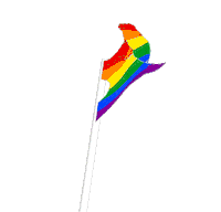 Rainbow Gay Sticker by Université de Sherbrooke