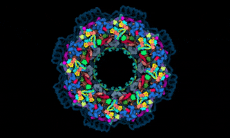 GIF by EMBL