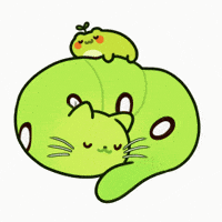 PondHQ cat cats frog cuddle GIF