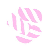 Wondramsterdam Sticker by WONDR