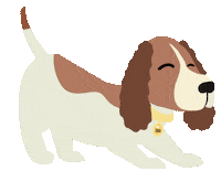 Dog Sg Sticker by Fressnapf