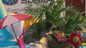 kitten bowl countdown to valentine's day GIF by Hallmark Channel