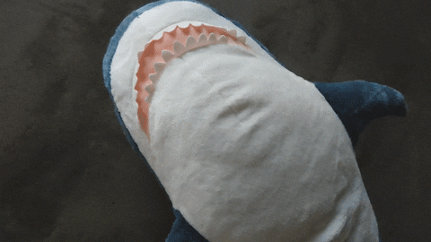 comspace giphyupload office bored shark GIF